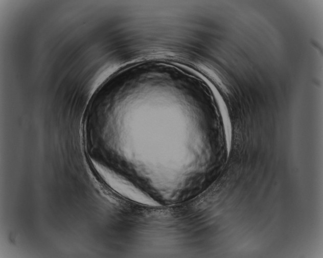 X0000091561047200709071122