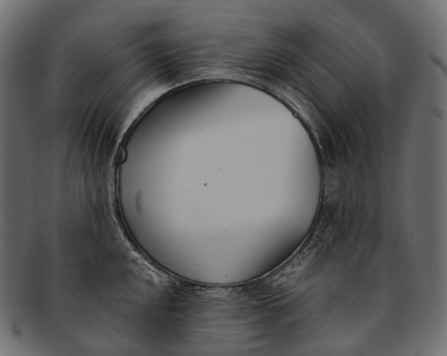 X0000091561048200709071122