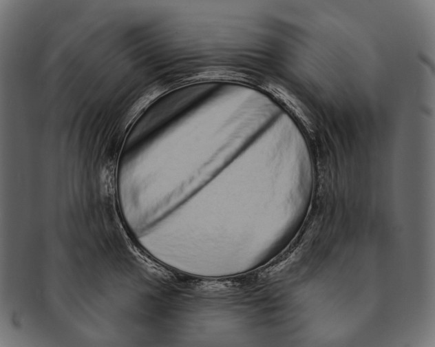 X0000091561049200709071122