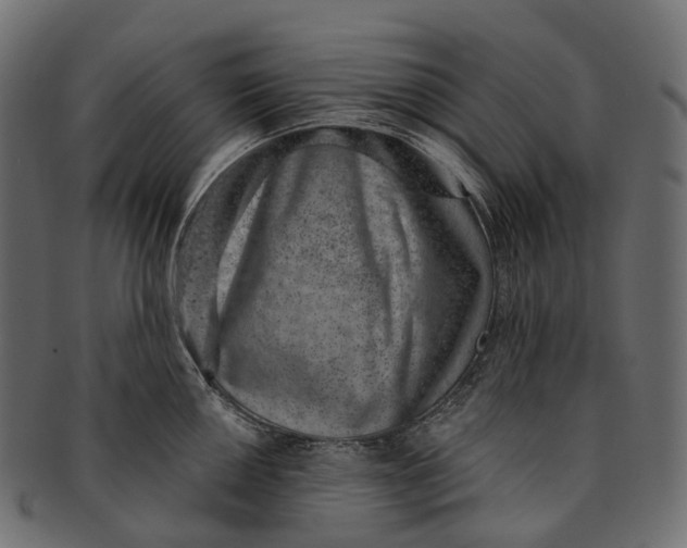 X0000091561050200709071123