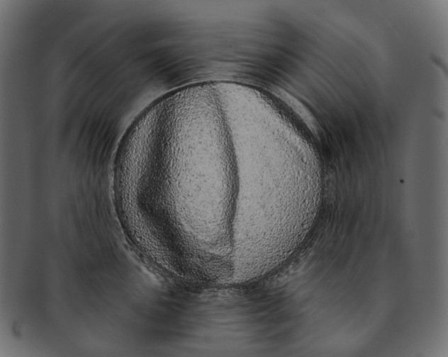 X0000091561051200709071123