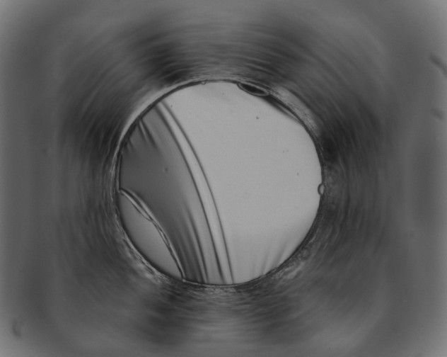 X0000091561052200709071123