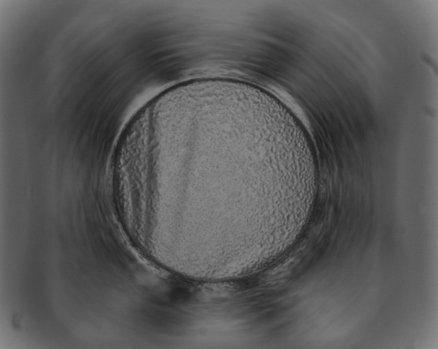 X0000091561053200709071123