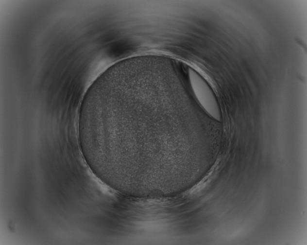 X0000091561054200709071123