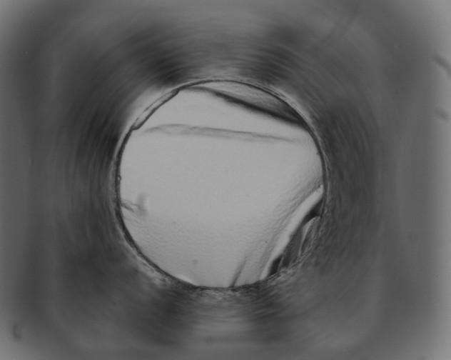 X0000091561056200709071123