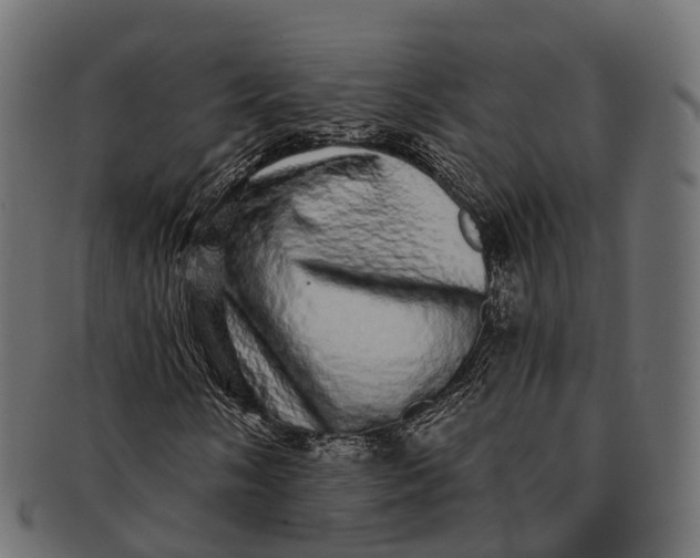 X0000091561058200709071122