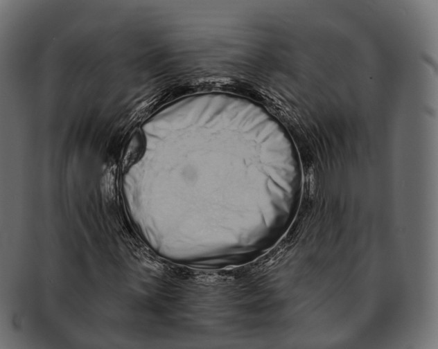 X0000091561059200709071122