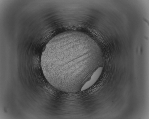 X0000091561060200709071122