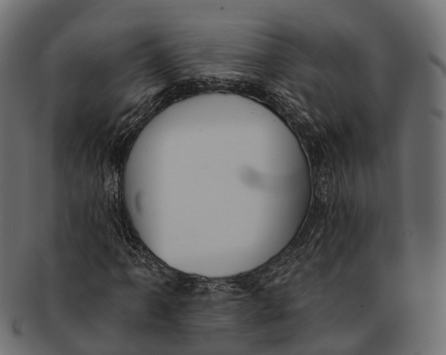 X0000091561061200709071122