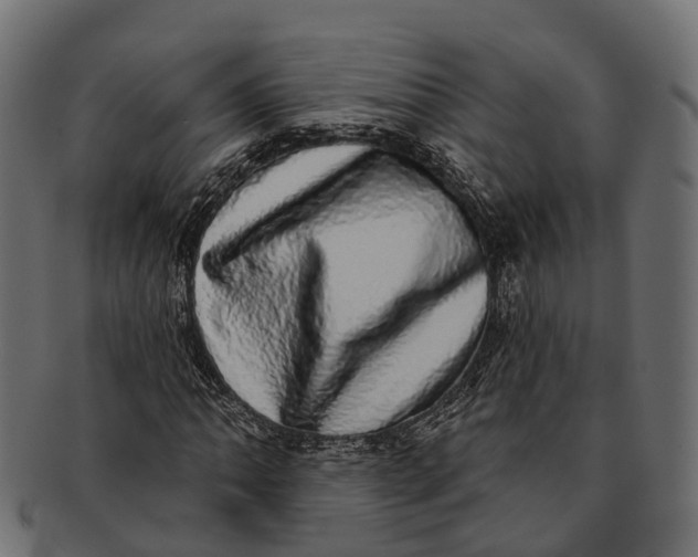 X0000091561062200709071122