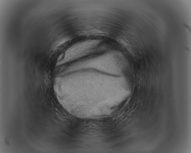 X0000091561063200709071122