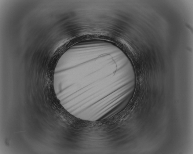 X0000091561064200709071122