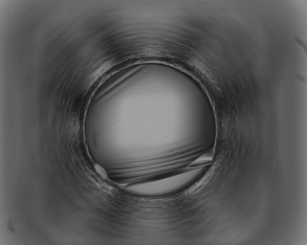 X0000091561065200709071122