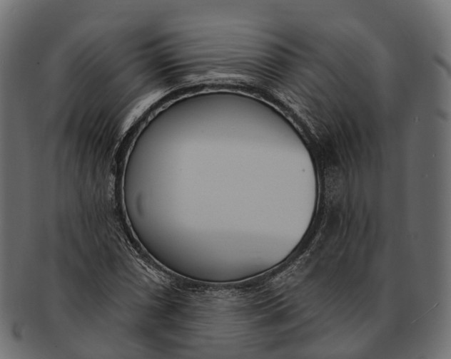 X0000091561066200709071122