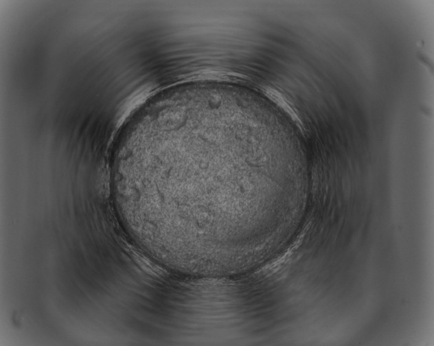 X0000091561067200709071122