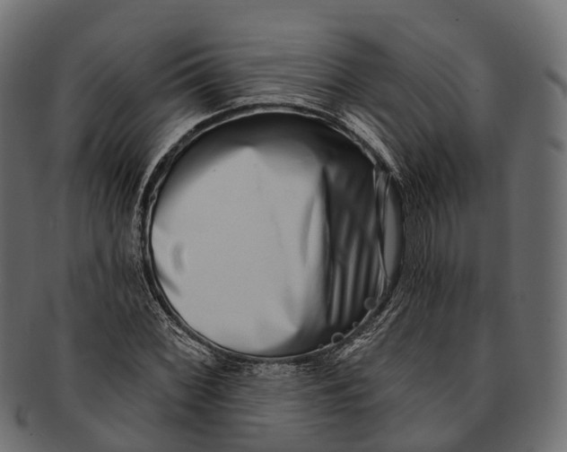 X0000091561068200709071122