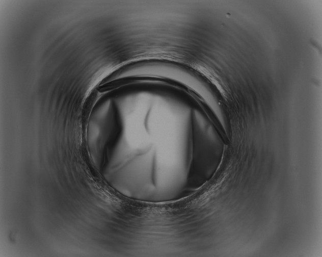 X0000091561069200709071122