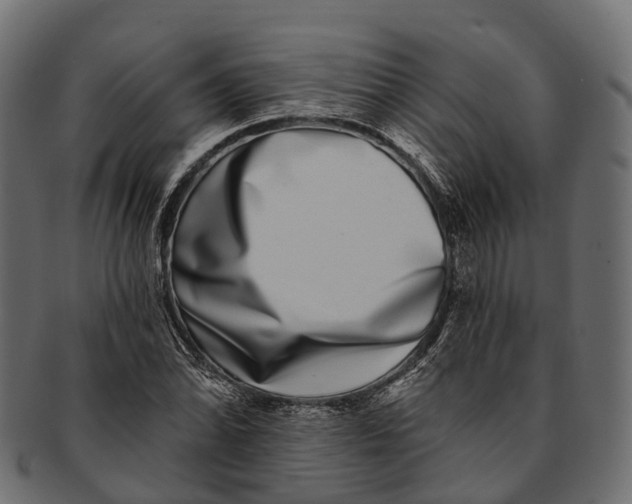 X0000091561070200709071122