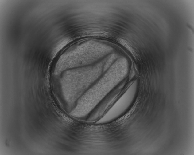 X0000091561071200709071122