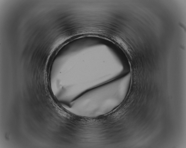 X0000091561072200709071122