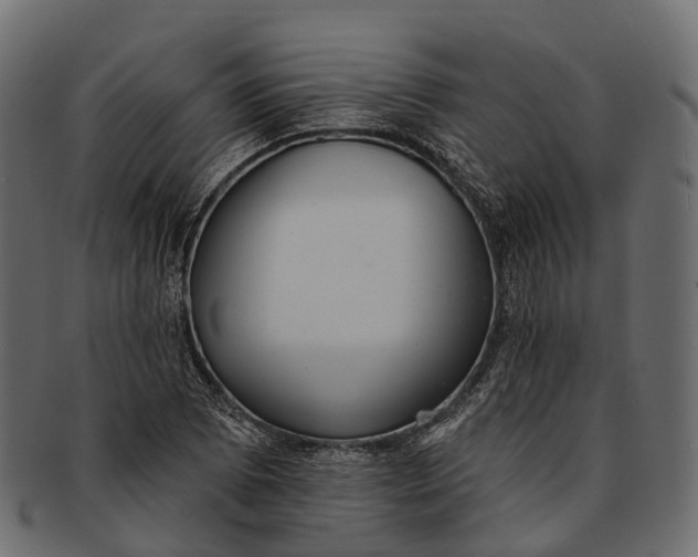 X0000091561073200709071122