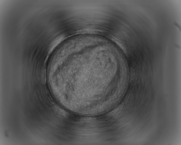 X0000091561075200709071122