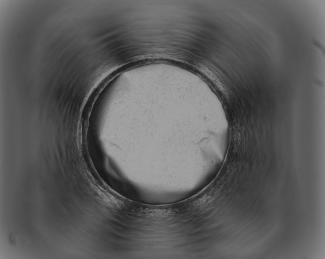 X0000091561076200709071122