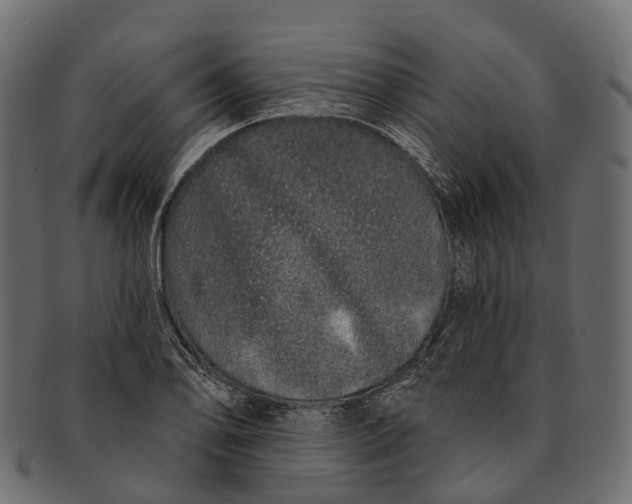 X0000091561078200709071122