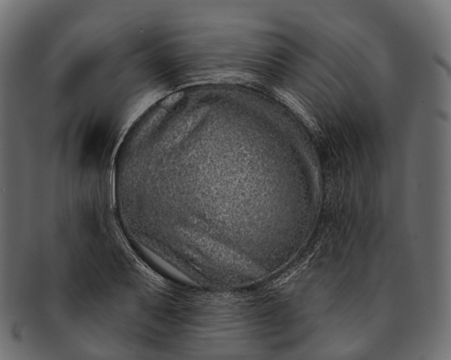 X0000091561079200709071122