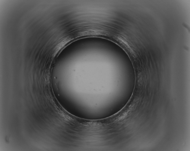 X0000091561081200709071121