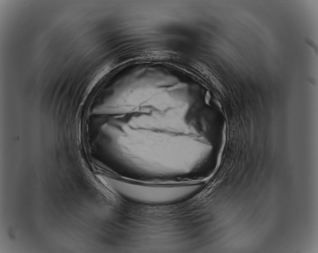 X0000091561083200709071121