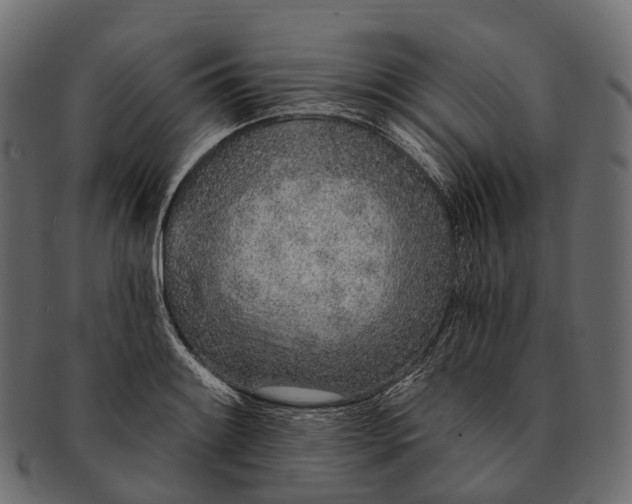 X0000091561084200709071121