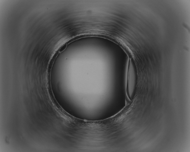 X0000091561085200709071121