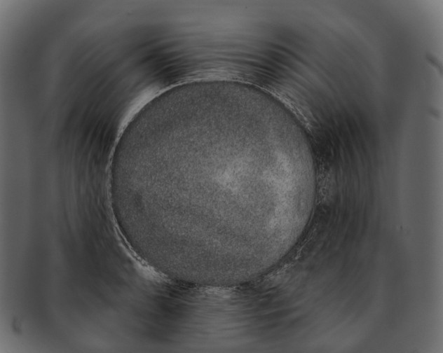 X0000091561086200709071121