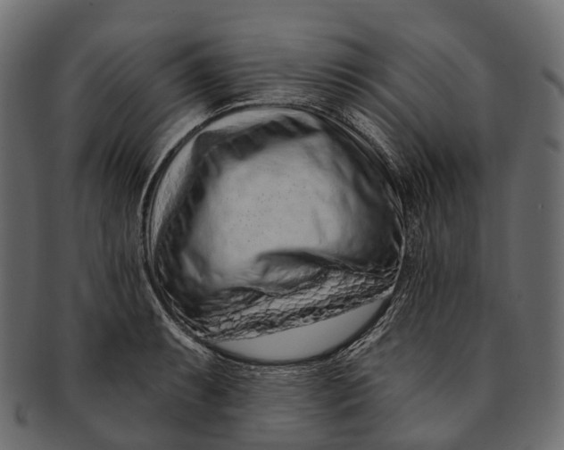 X0000091561087200709071121