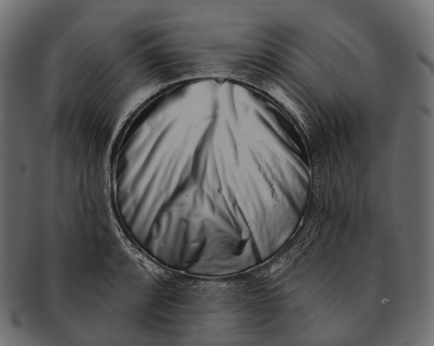 X0000091561088200709071121