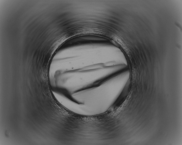 X0000091561089200709071121