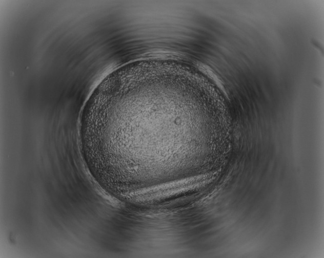 X0000091561091200709071121