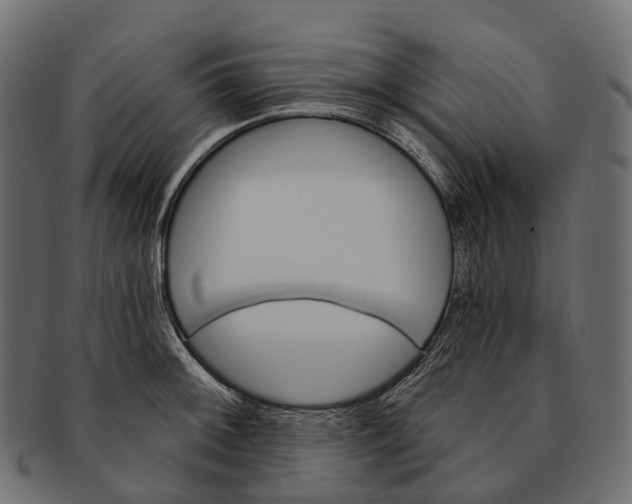 X0000091561092200709071121