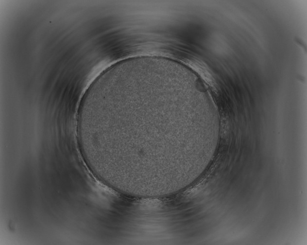 X0000091561094200709071121