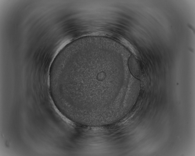 X0000091561095200709071121