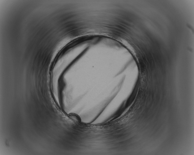 X0000091561096200709071121