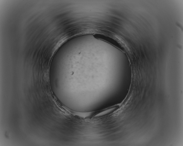 X0000091561097200709071121