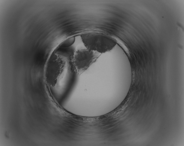 X0000091561099200709071121