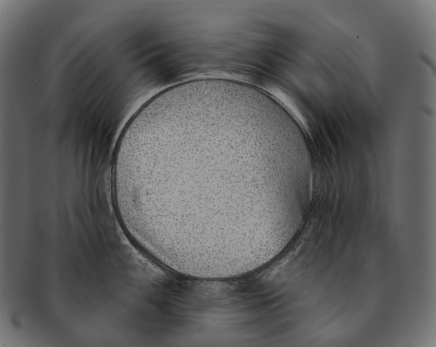 X0000091561100200709071121