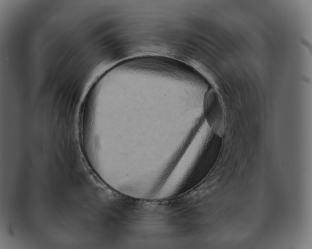 X0000091561104200709071121