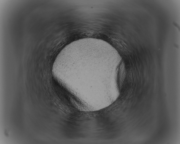 X0000091561105200709071121