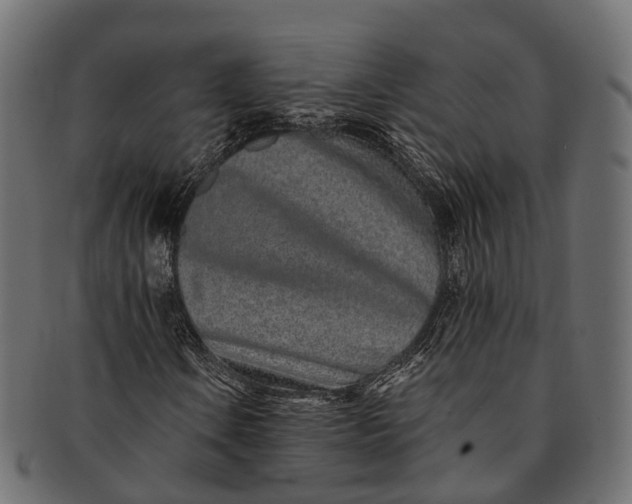 X0000091561106200709071121