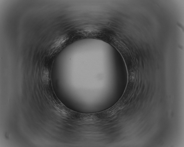 X0000091561108200709071121