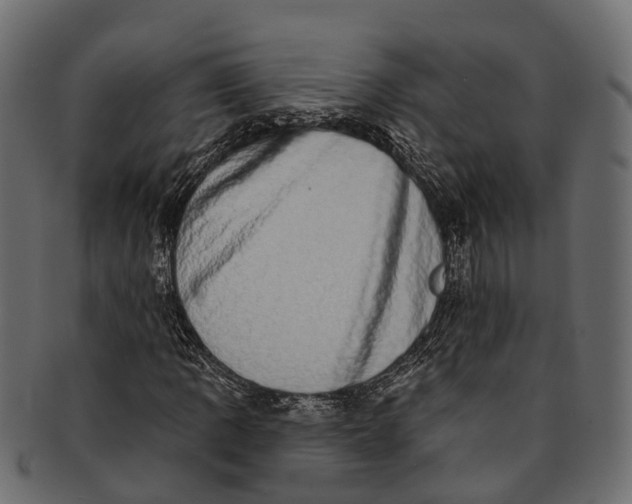 X0000091561109200709071121